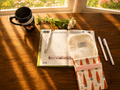 Carrot Garden Fountain Pen Case/Handmade Writer's Pen Case/Stationary Holder